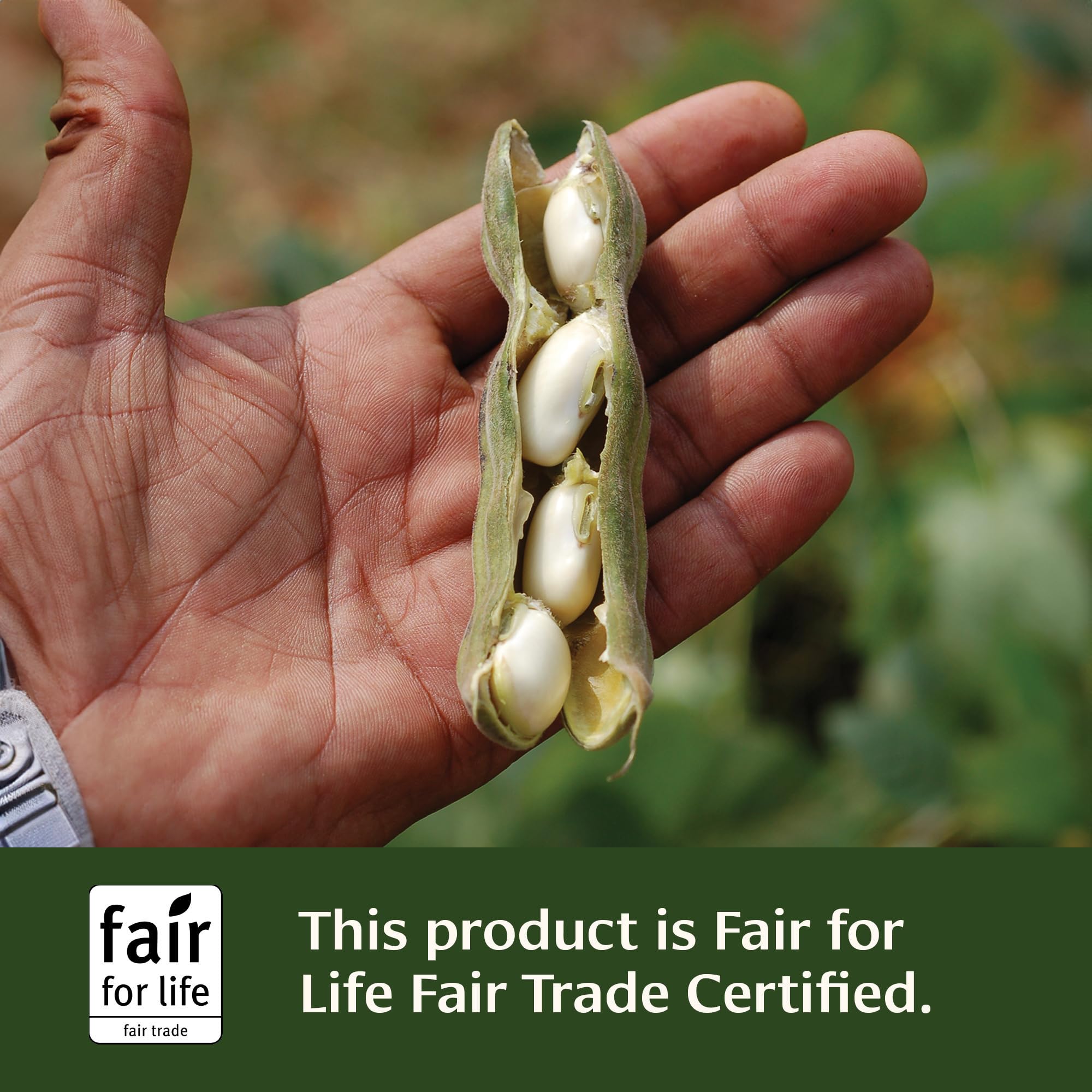 Foto 6 | Tableta Herbaria Banyan Botanicals Mucuna Pruriens 90 Comprimidos - Venta Internacional.