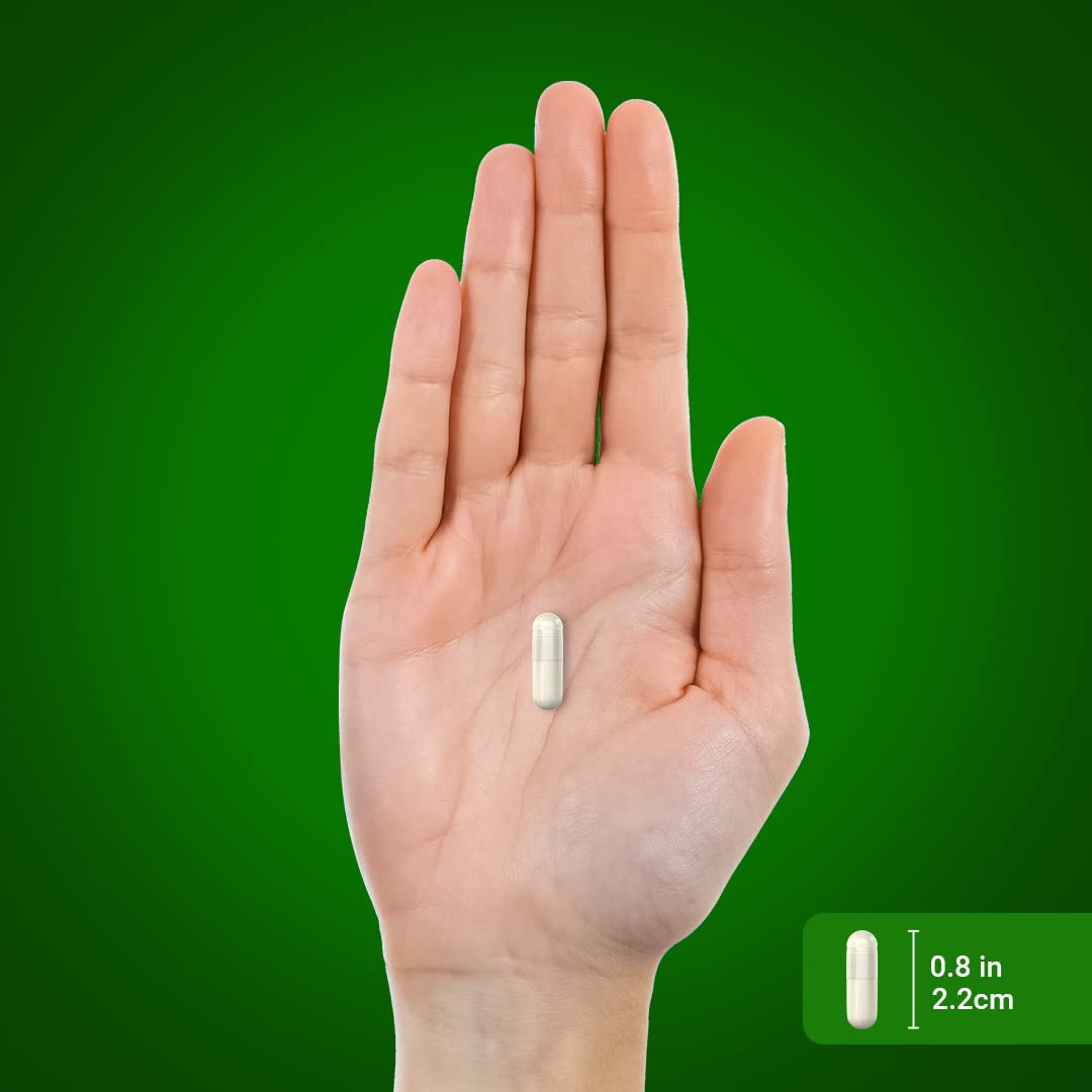 Foto 8 pulgar | Suplemento Piping Rock Green Lipped Mussel 750 Mg 120 Cápsulas - Venta Internacional.