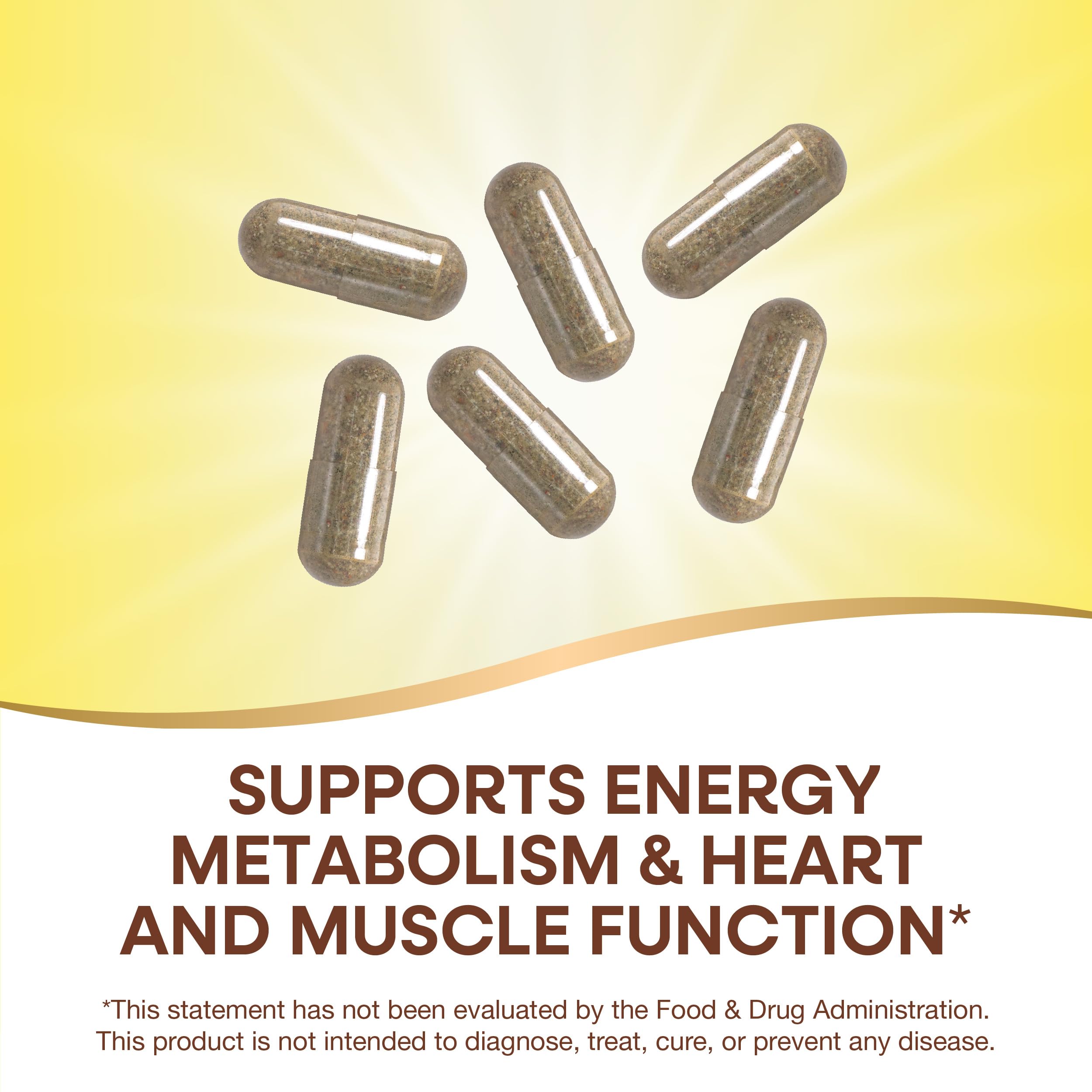 Foto 4 pulgar | ¡complementa Nature's Way Alive! Max6 Potency Para Adultos, 90 Cápsulas - Venta Internacional.