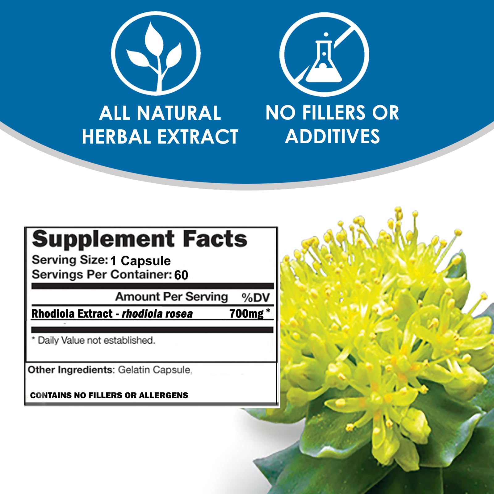 Foto 5 pulgar | Suplemento Vh Nutrition Rhodiola Rhodiola Rosea 3% Salidrosides - Venta Internacional.