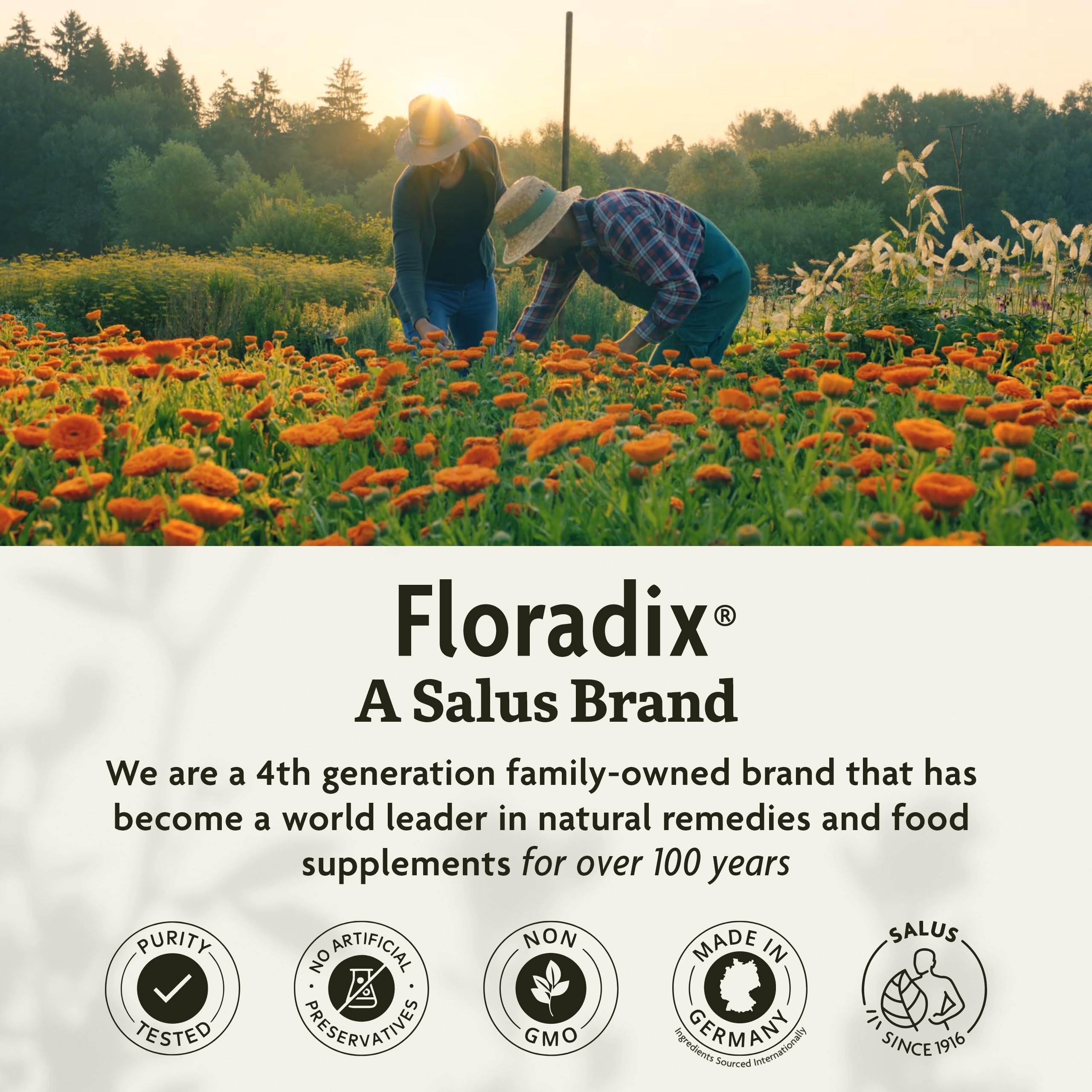 Foto 8 pulgar | Suplemento Floradix Iron Sport Líquido Mineral Y Vitamina 250 Ml - Venta Internacional.