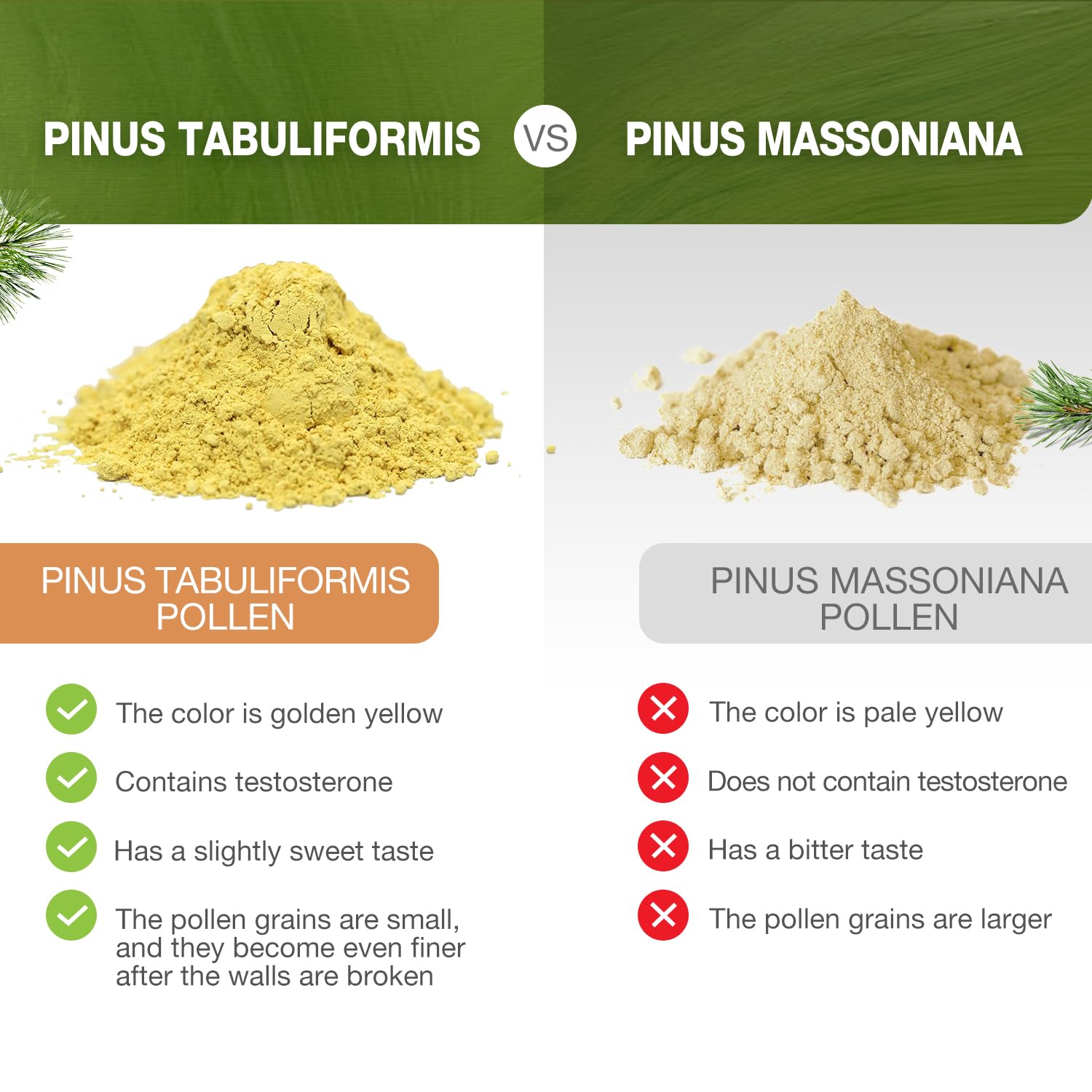 Foto 7 pulgar | Polen De Pino En Polvo Eco-taste 180 Ml De Pinus Tabuliformis Cosechado En Estado Silvestre - Venta Internacional.