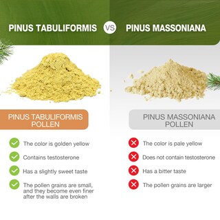 Foto 6 | Polen De Pino En Polvo Eco-taste 180 Ml De Pinus Tabuliformis Cosechado En Estado Silvestre - Venta Internacional.