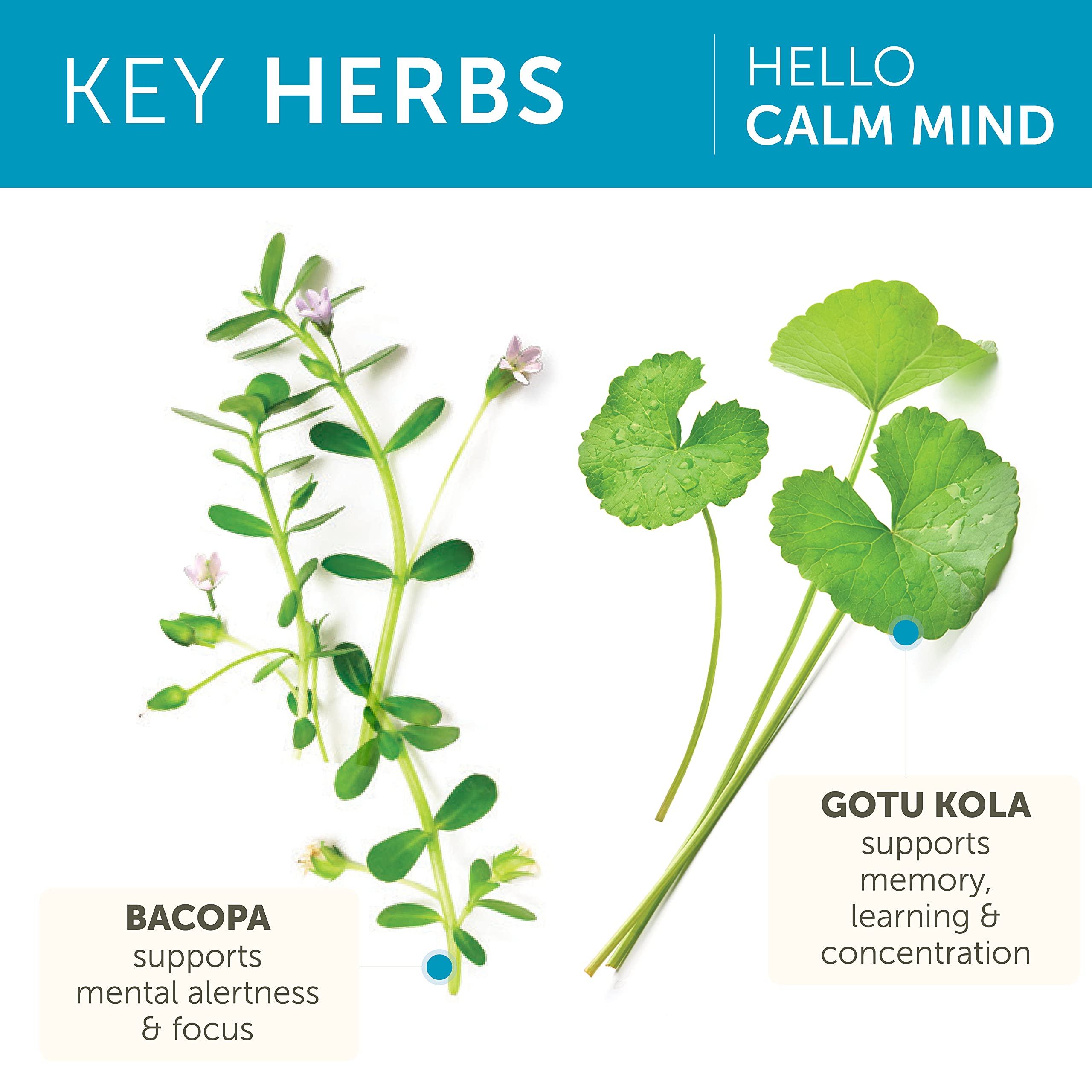 Foto 4 | Suplemento Herbario Himalaya Hello Calm Mind 60 Cápsulas - Venta Internacional.