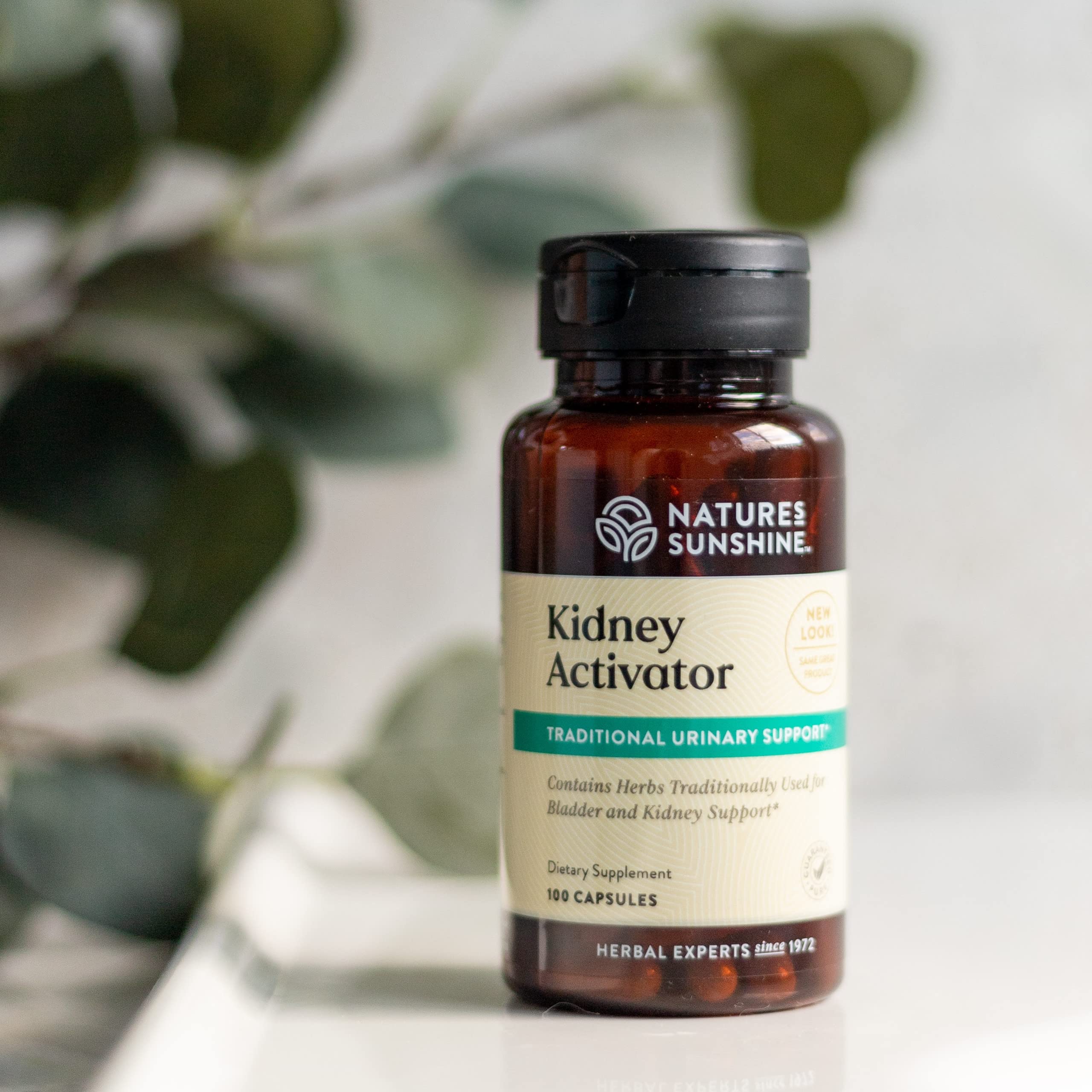Foto 3 pulgar | Suplemento Nature's Sunshine Kidney Activator 100 Cápsulas - Venta Internacional.