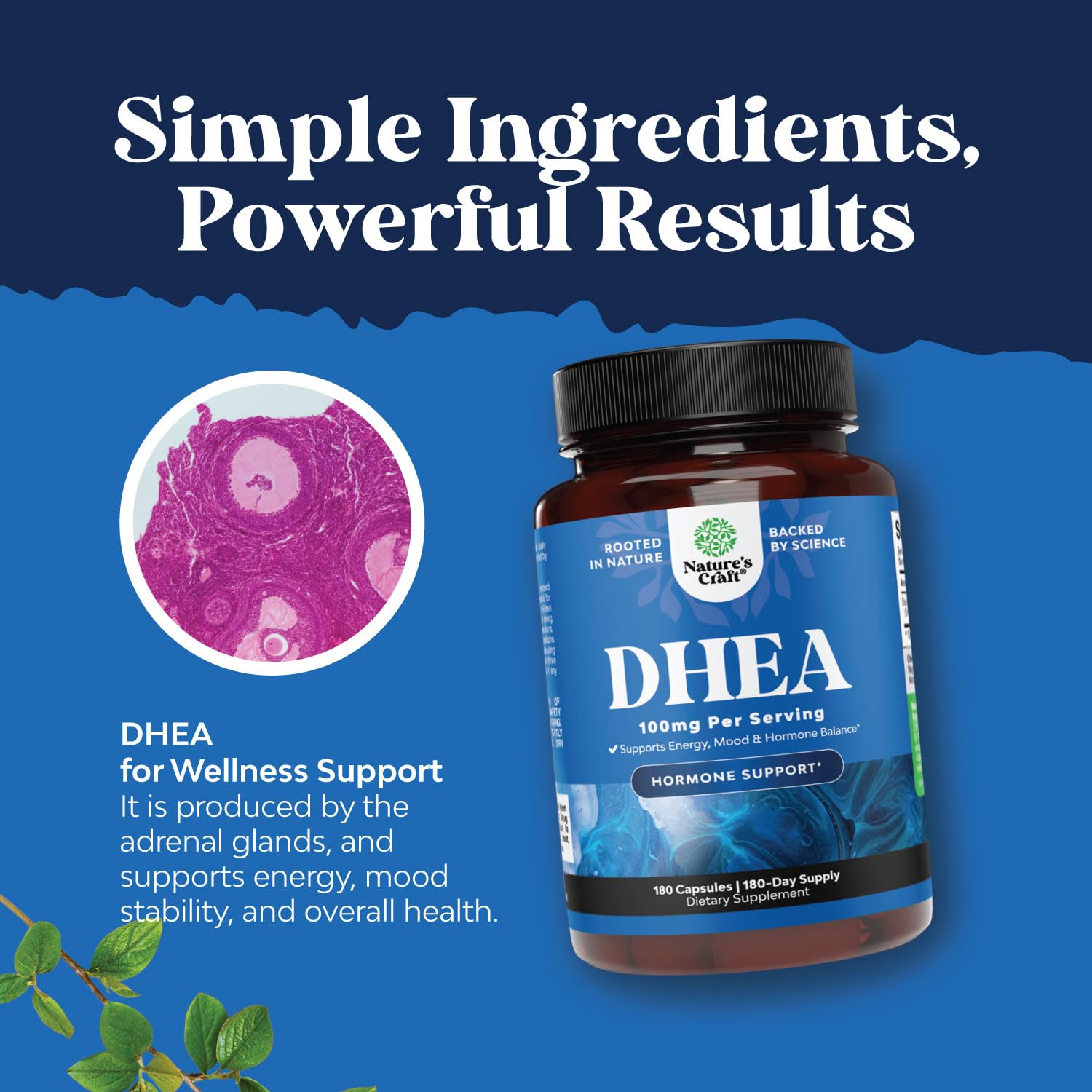 Foto 5 pulgar | Suplemento Natures Craft Dhea 100 Mg Para Hombres Y Mujeres - Venta Internacional.