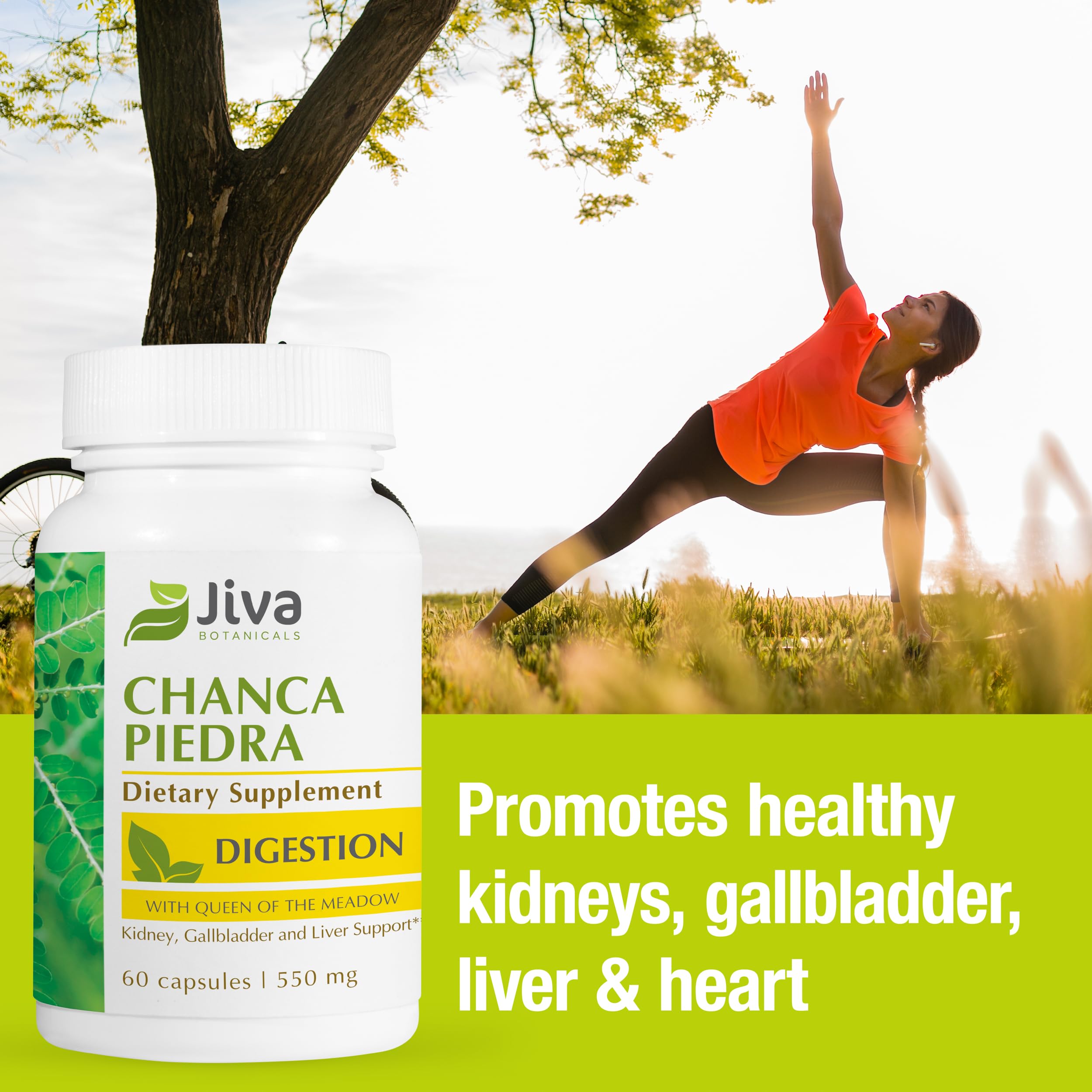 Foto 4 | Suplemento De Extracto De 500 Mg De Chanca Piedra De Jiva Botanicals - Venta Internacional.