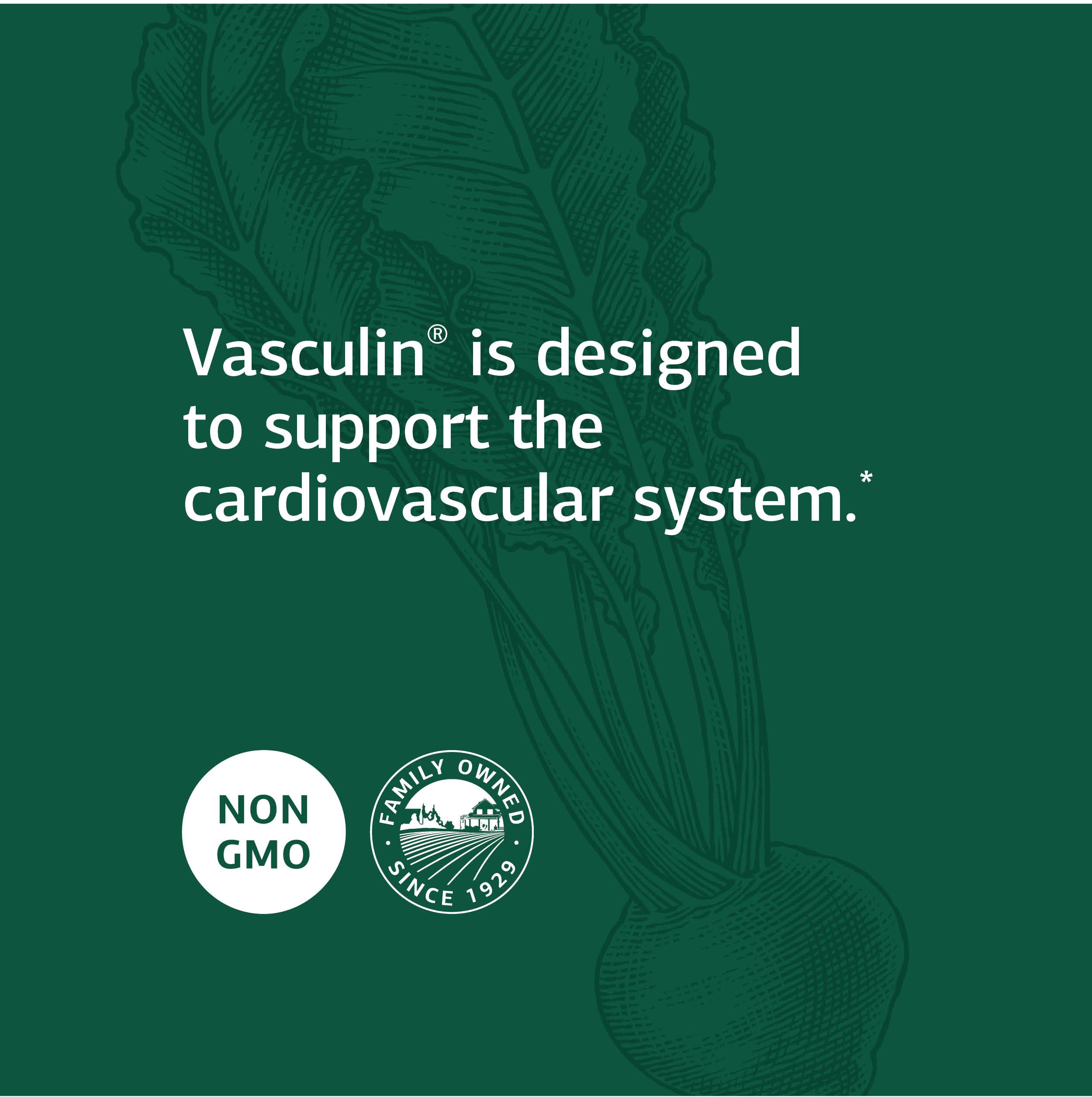 Foto 5 pulgar | Suplemento Standard Process Vasculin Heart Health 90 Comprimidos - Venta Internacional.