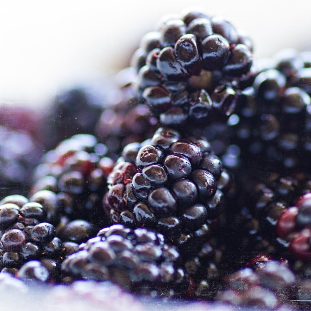 Foto 4 | Suplemento: Ingredientes Puros Y Originales: Extracto De Fruta De Mora - Venta Internacional.