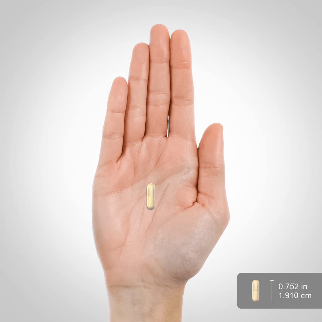 Foto 8 pulgar | Suplemento Piping Rock Yellow Dock Root 1500 Mg 200 Cápsulas - Venta Internacional.