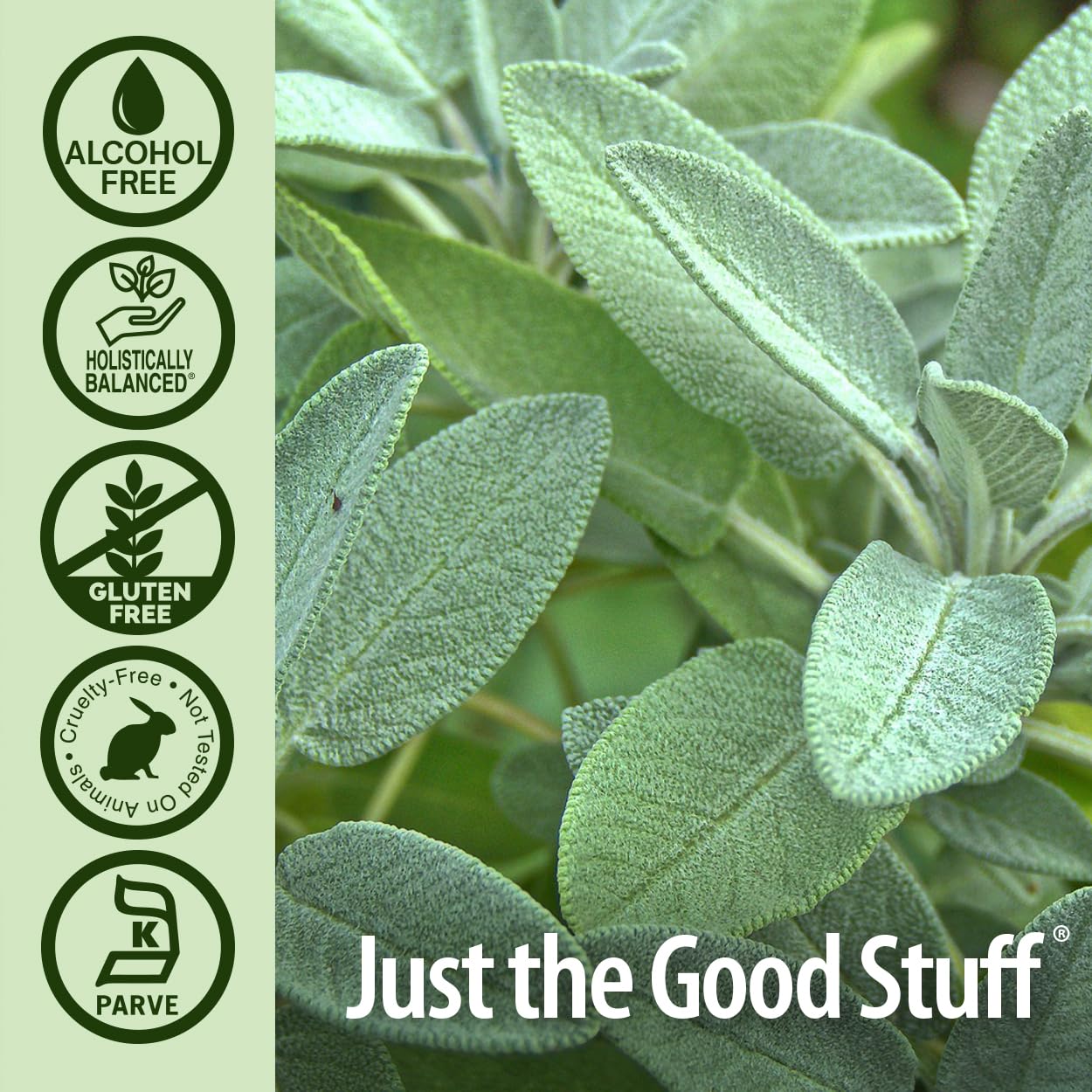 Foto 6 pulgar | Suplemento Nature's Answer Sage Leaf, 30 Ml, Sin Alcohol - Venta Internacional.
