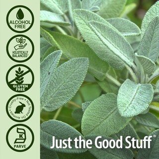 Foto 5 | Suplemento Nature's Answer Sage Leaf, 30 Ml, Sin Alcohol - Venta Internacional.