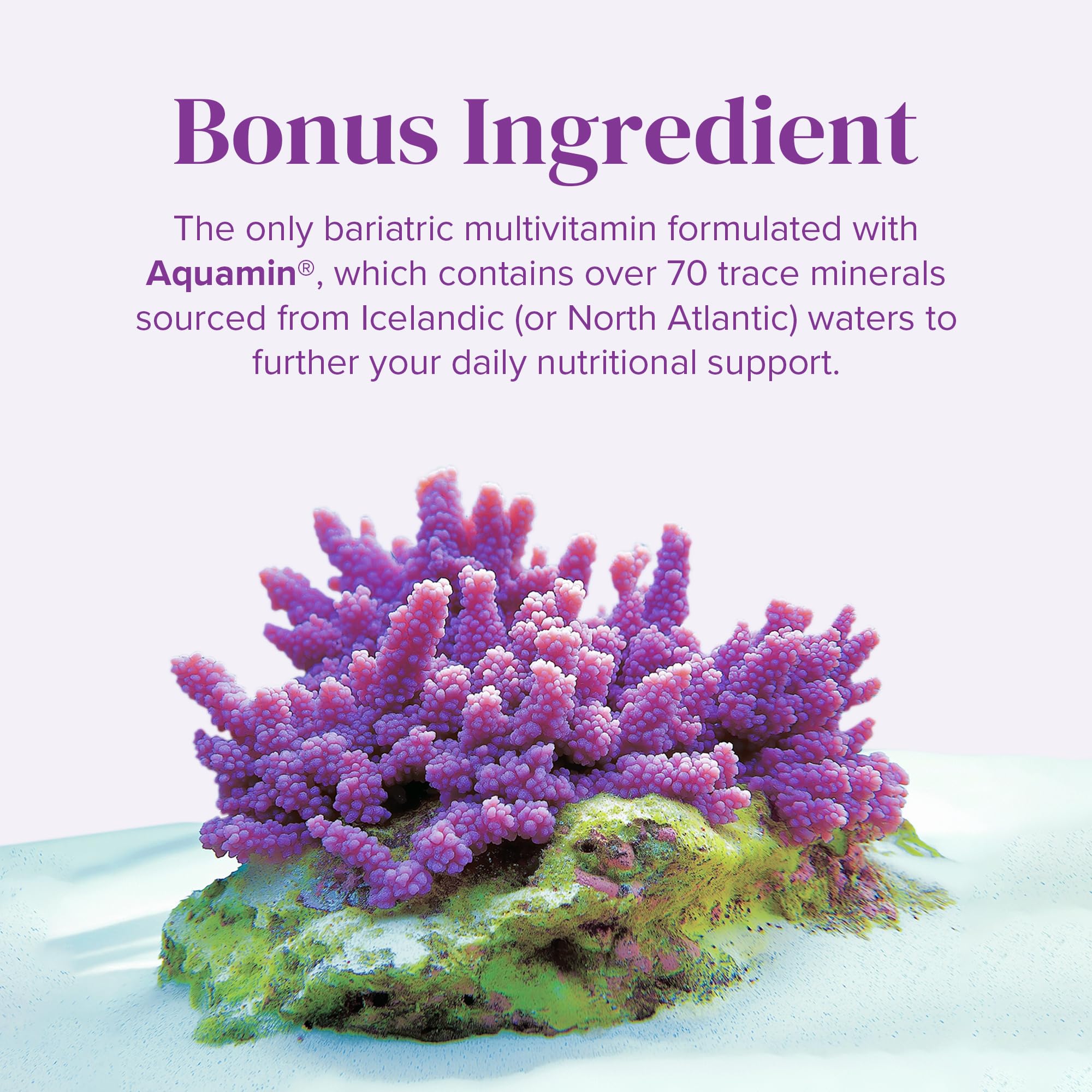 Foto 7 pulgar | Multivitamínico Bariátrico Barimelts Una Vez Al Día Con Hierro 60 Cápsulas - Venta Internacional.
