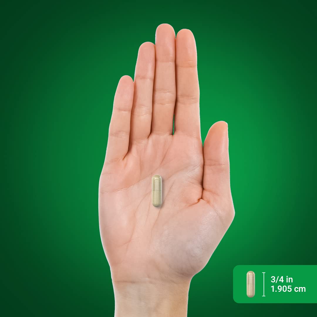 Foto 8 pulgar | Suplemento Piping Rock Hydrangea Root 500 Mg 100 Cápsulas - Venta Internacional.
