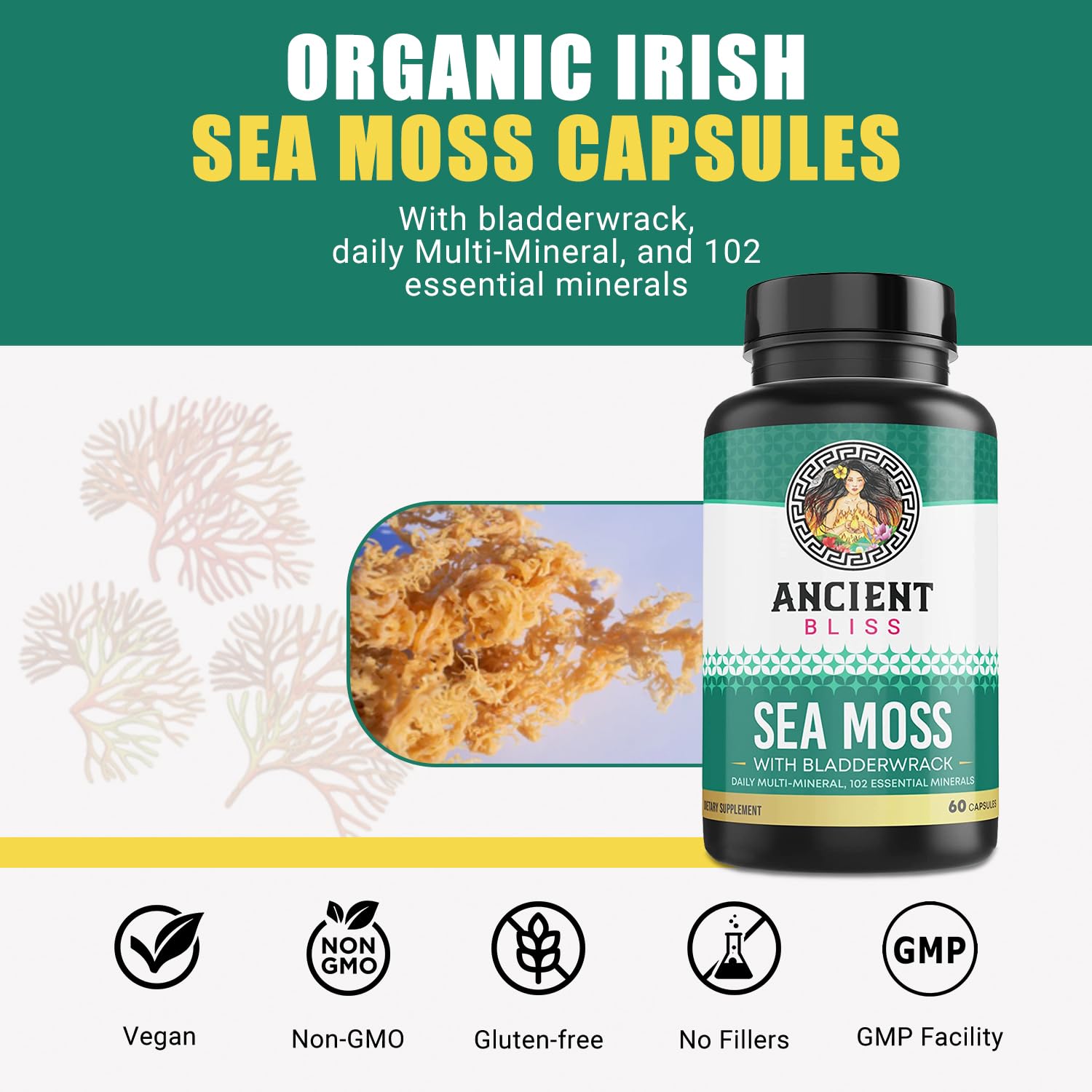 Foto 3 pulgar | Suplemento Ancient Bliss Organic Irish Sea Moss 120 Cápsulas - Venta Internacional.