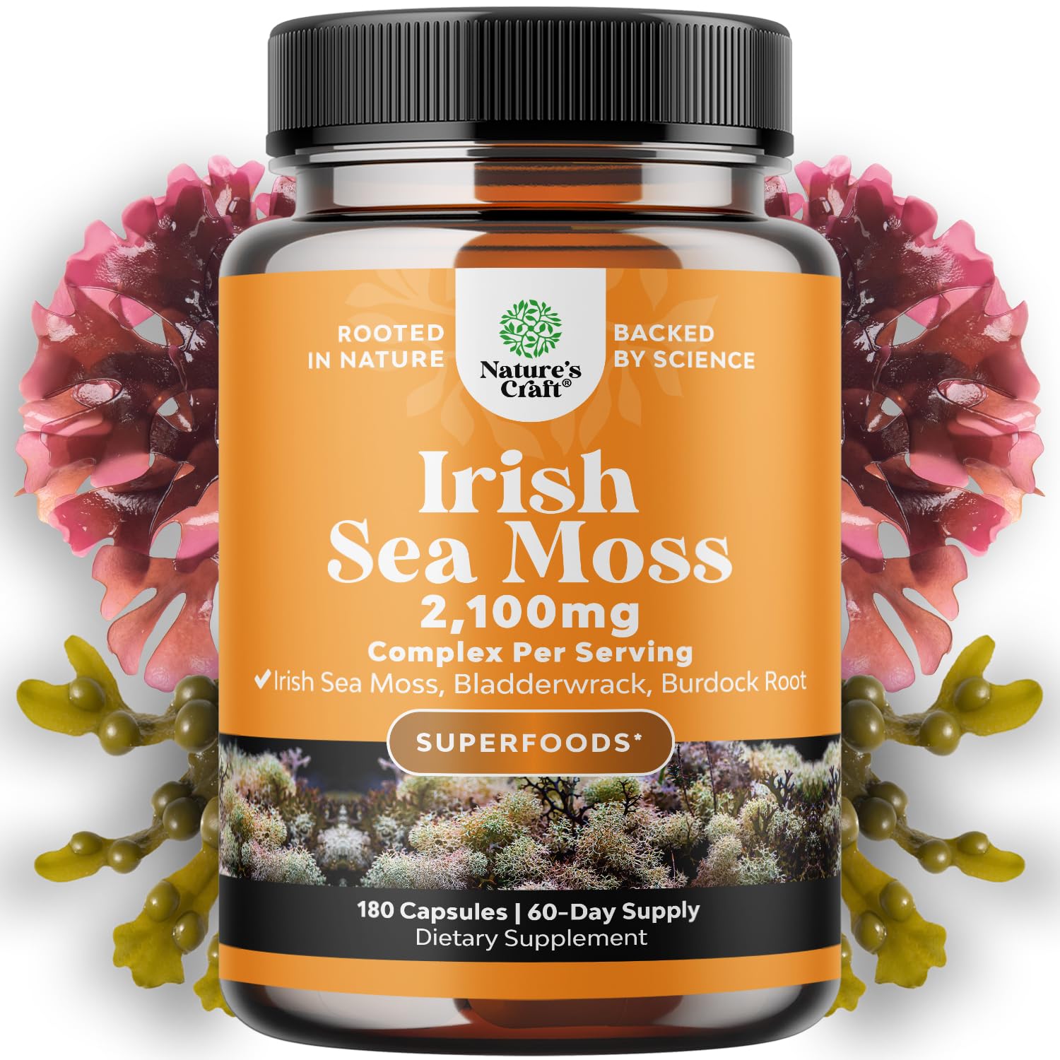 Foto 2 pulgar | Suplemento Natures Craft Organic Irish Sea Moss, 2100 Mg - Venta Internacional.