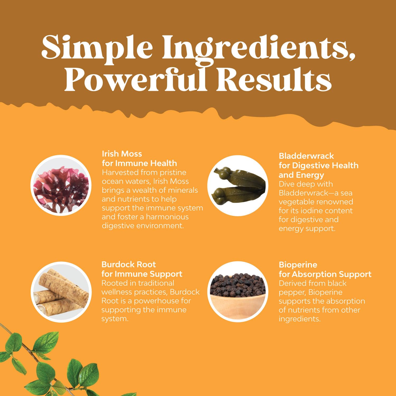 Foto 5 pulgar | Suplemento Natures Craft Organic Irish Sea Moss, 2100 Mg - Venta Internacional.