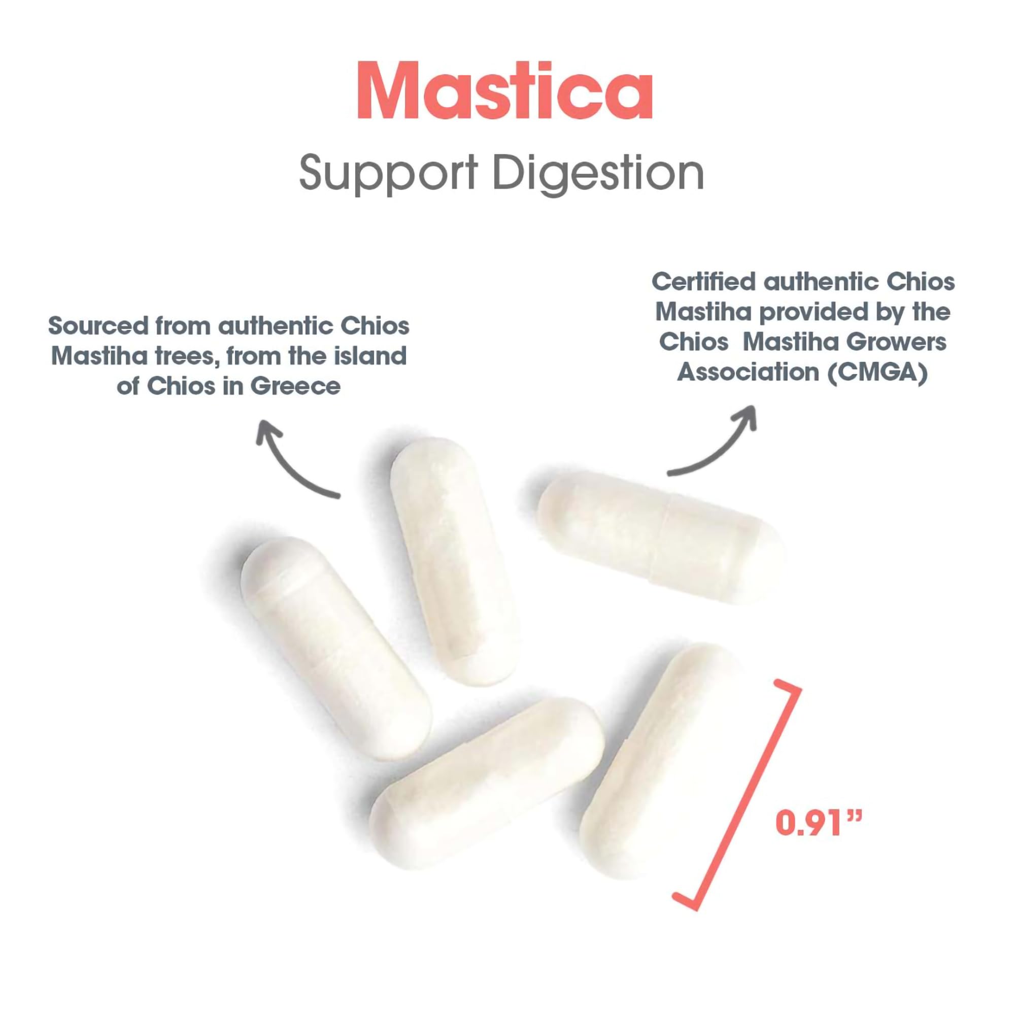 Foto 6 pulgar | Goma De Mastica Supplement Allergy Research Group, 60 Cápsulas - Venta Internacional.