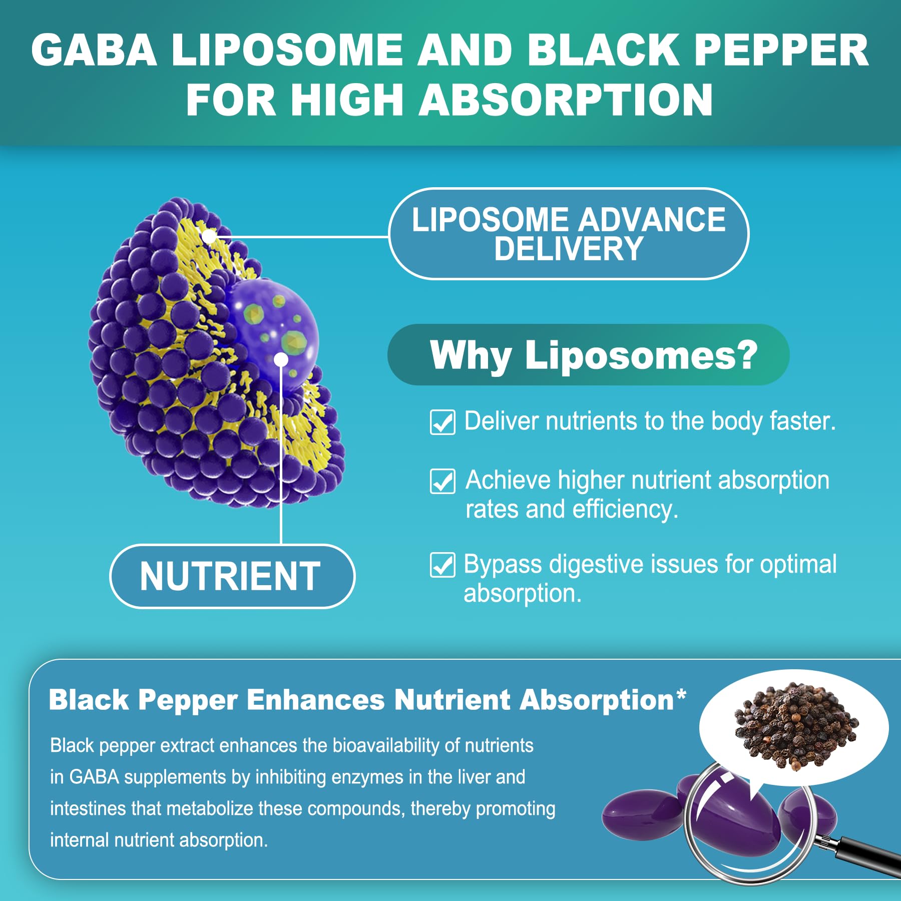 Foto 6 pulgar | Suplemento Lilicare Gaba 1000 Mg En Forma Liposomal, 120 Cápsulas Blandas - Venta Internacional.