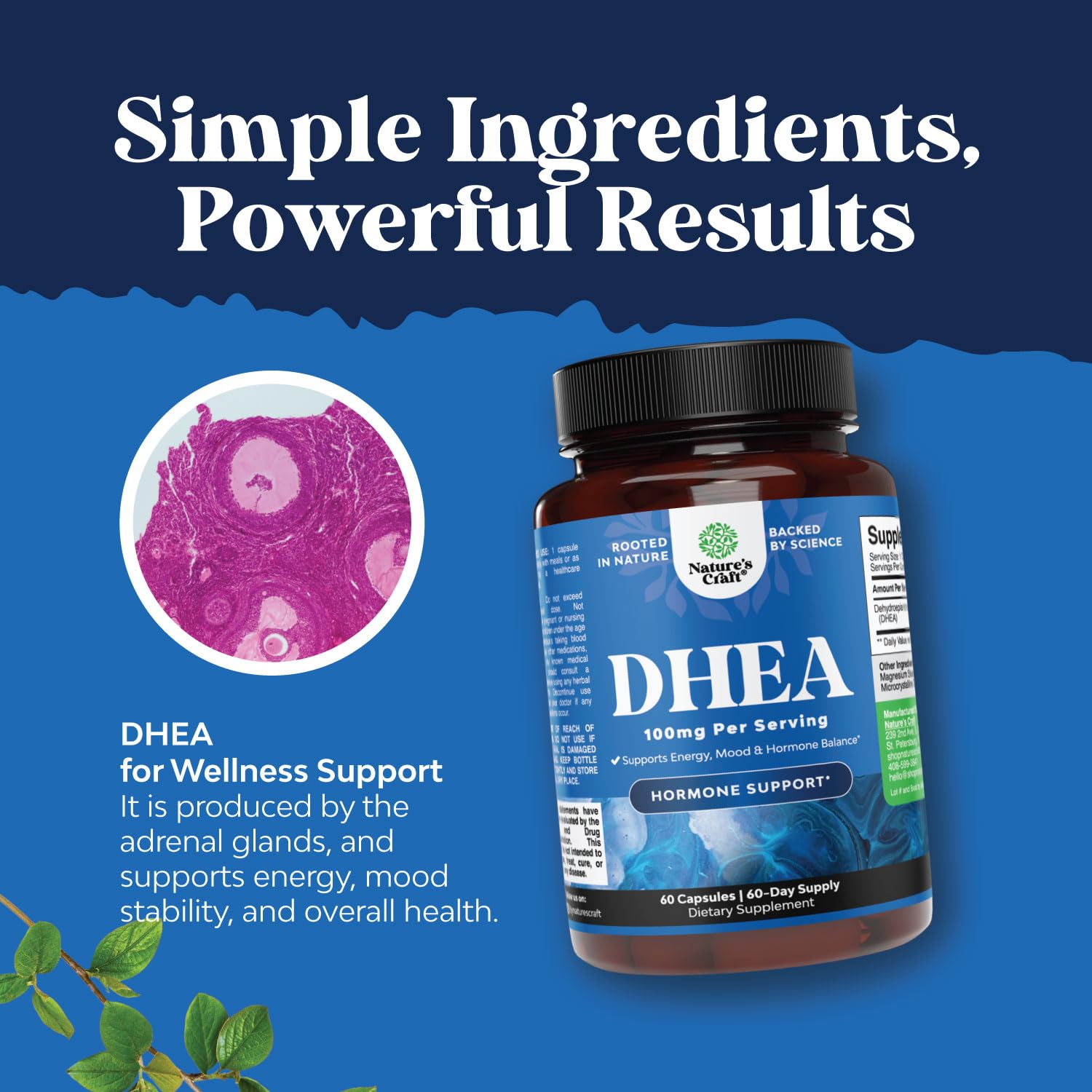 Foto 5 pulgar | Suplemento Natures Craft Dhea 100 Mg Para Hombres Y Mujeres - Venta Internacional.