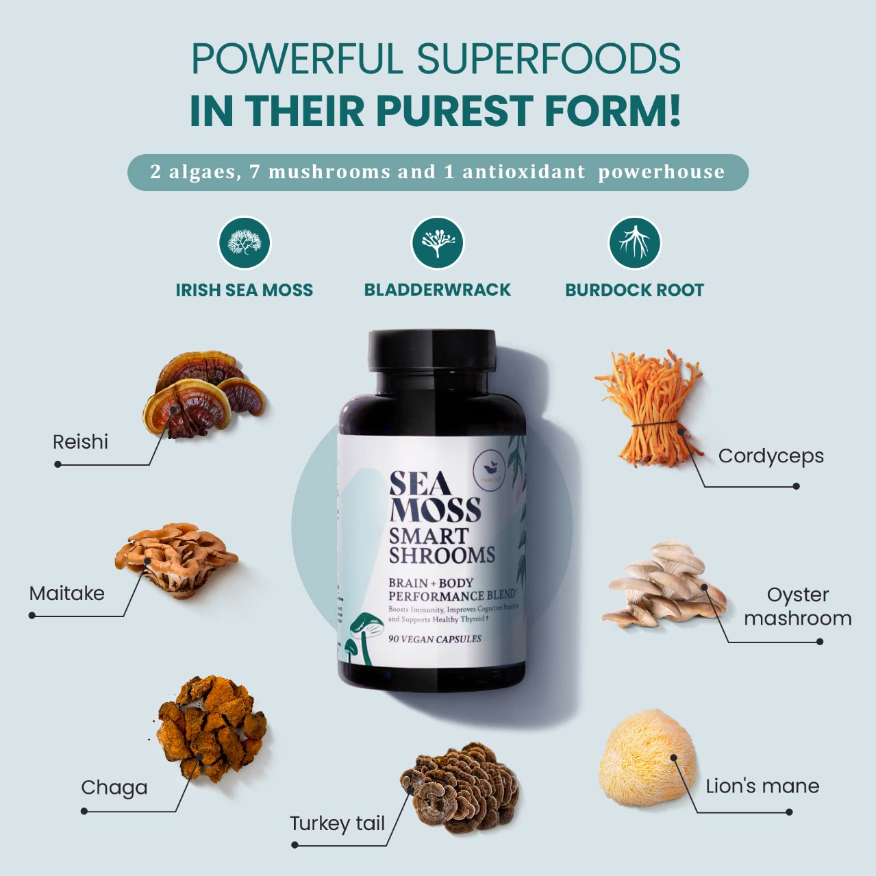 Foto 3 pulgar | Suplemento Happy Fox Irish Sea Moss & Mushroom 1500 Mg 90 Cápsulas - Venta Internacional.