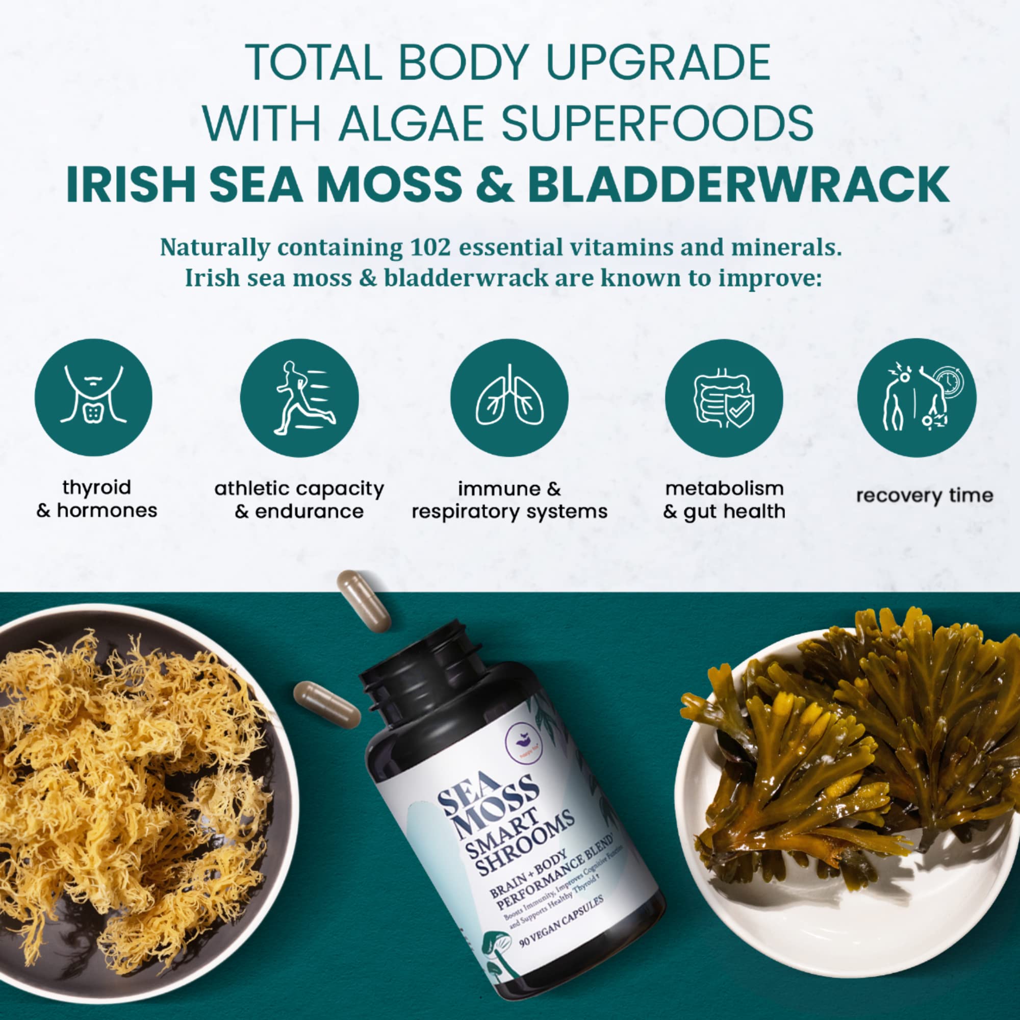 Foto 6 pulgar | Suplemento Happy Fox Irish Sea Moss & Mushroom 1500 Mg 90 Cápsulas - Venta Internacional.