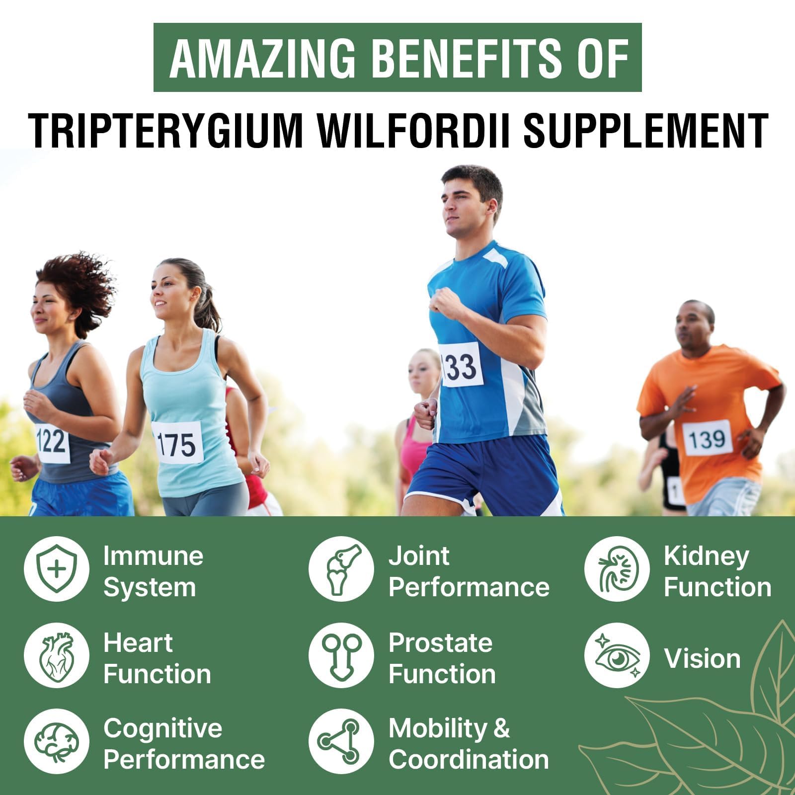 Foto 6 pulgar | Suplemento Rosmolo Thunder God Vine Root 1200 Mg 20:1 60 Cápsulas - Venta Internacional.