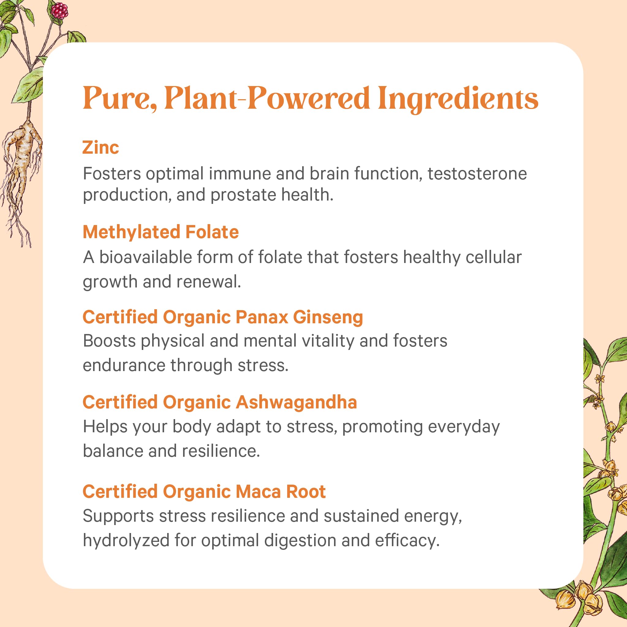 Foto 5 | Multivitamínico Pure Synergy Vita-Min-Vitality Men 60 Comprimidos - Venta Internacional