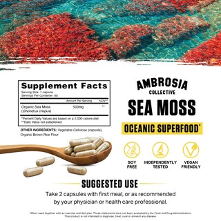 Foto 2 | Suplemento Ambrosia Irish Sea Moss de 60 Cápsulas-Venta Internacional