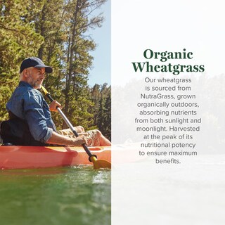 Foto 3 | Suplemento en Polvo de Hierba de Trigo Orgánico 180g - Venta Internacional
