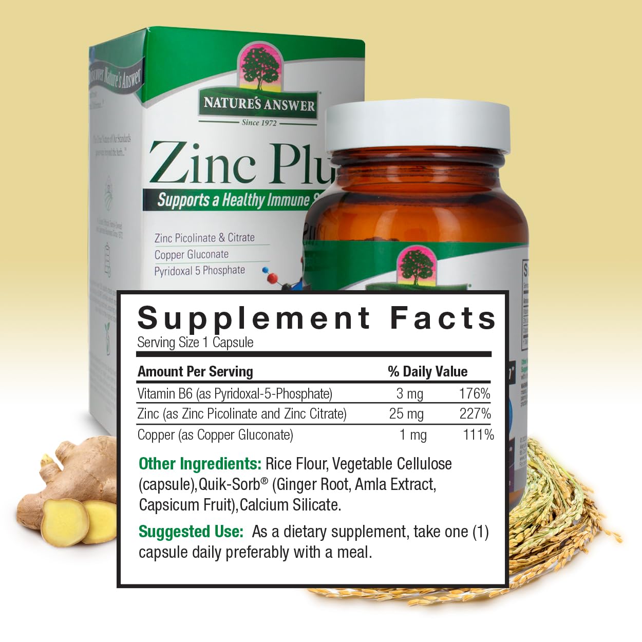 Foto 4 pulgar | Suplemento Nature's Answer Zinc Plus 25 Mg Con B6 60 Cápsulas - Venta Internacional.