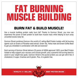Foto 4 | Suplemento De Proteína De Carne Desmenuzada Musclemeds Carnivor De 1,97 Kg De Chocolate - Venta Internacional.