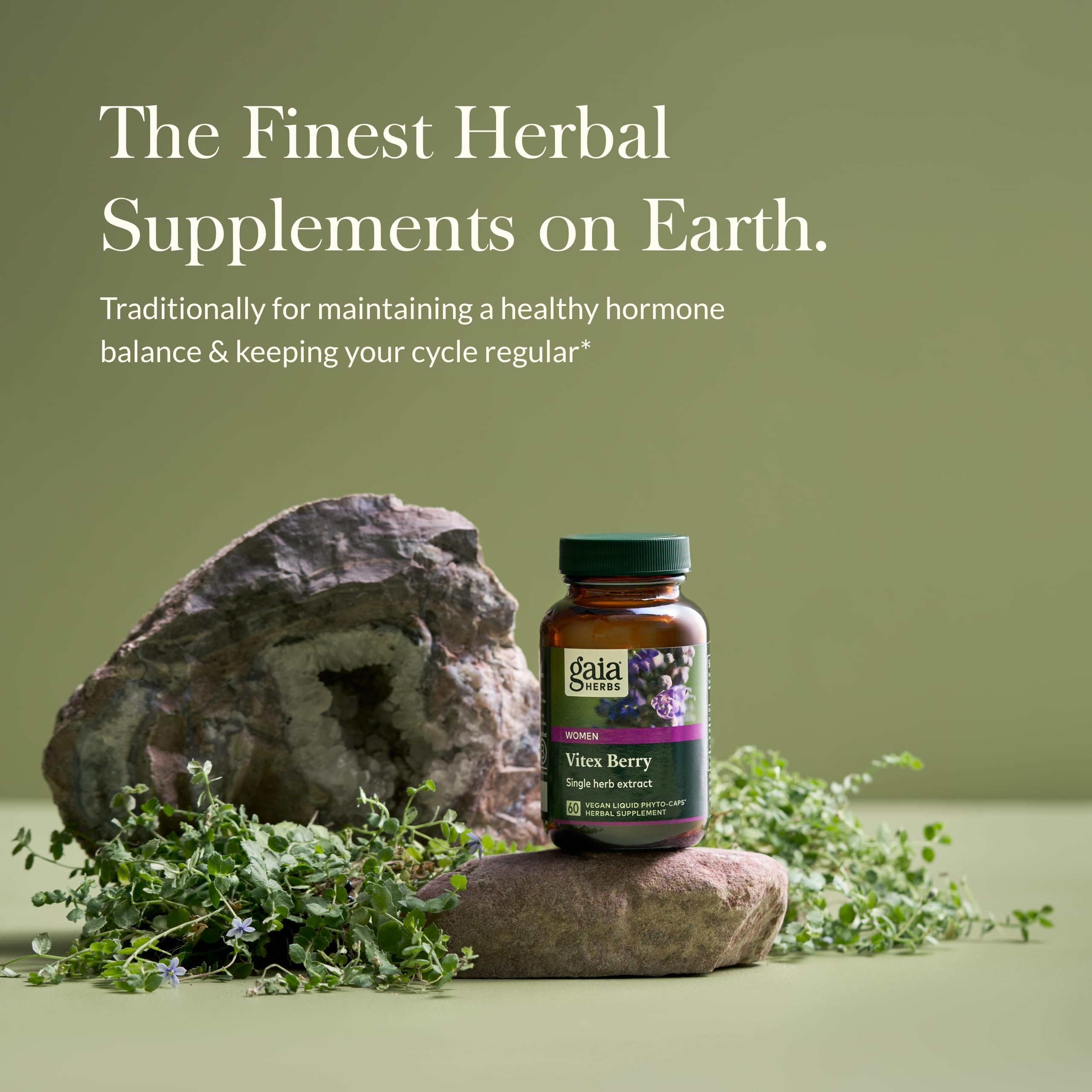 Foto 4 pulgar | Suplemento Gaia Herbs Vitex Berry 60 Cápsulas Veganas - Venta Internacional.