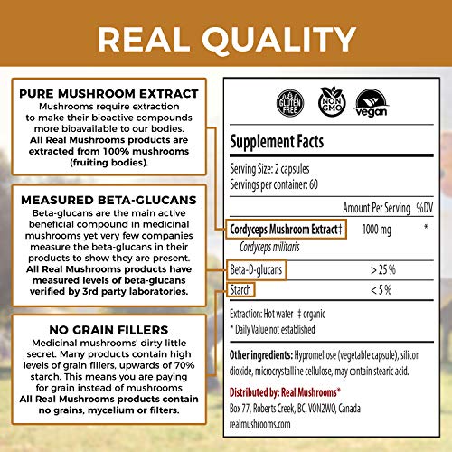 Foto 3 pulgar | Cordyceps-m 1000 Mg – 120 Cápsulas | Energía Natural, Vitalidad Y Defensa Inmunológica