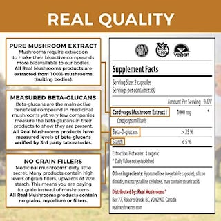 Foto 2 | Cordyceps-m 1000 Mg – 120 Cápsulas | Energía Natural, Vitalidad Y Defensa Inmunológica