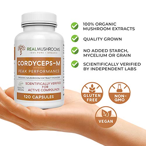 Foto 4 pulgar | Cordyceps-m 1000 Mg – 120 Cápsulas | Energía Natural, Vitalidad Y Defensa Inmunológica