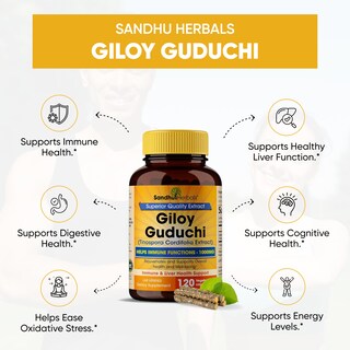 Foto 2 | Suplemento Sandhu Herbals Giloy Guduchi 120 Cápsulas - Venta Internacional