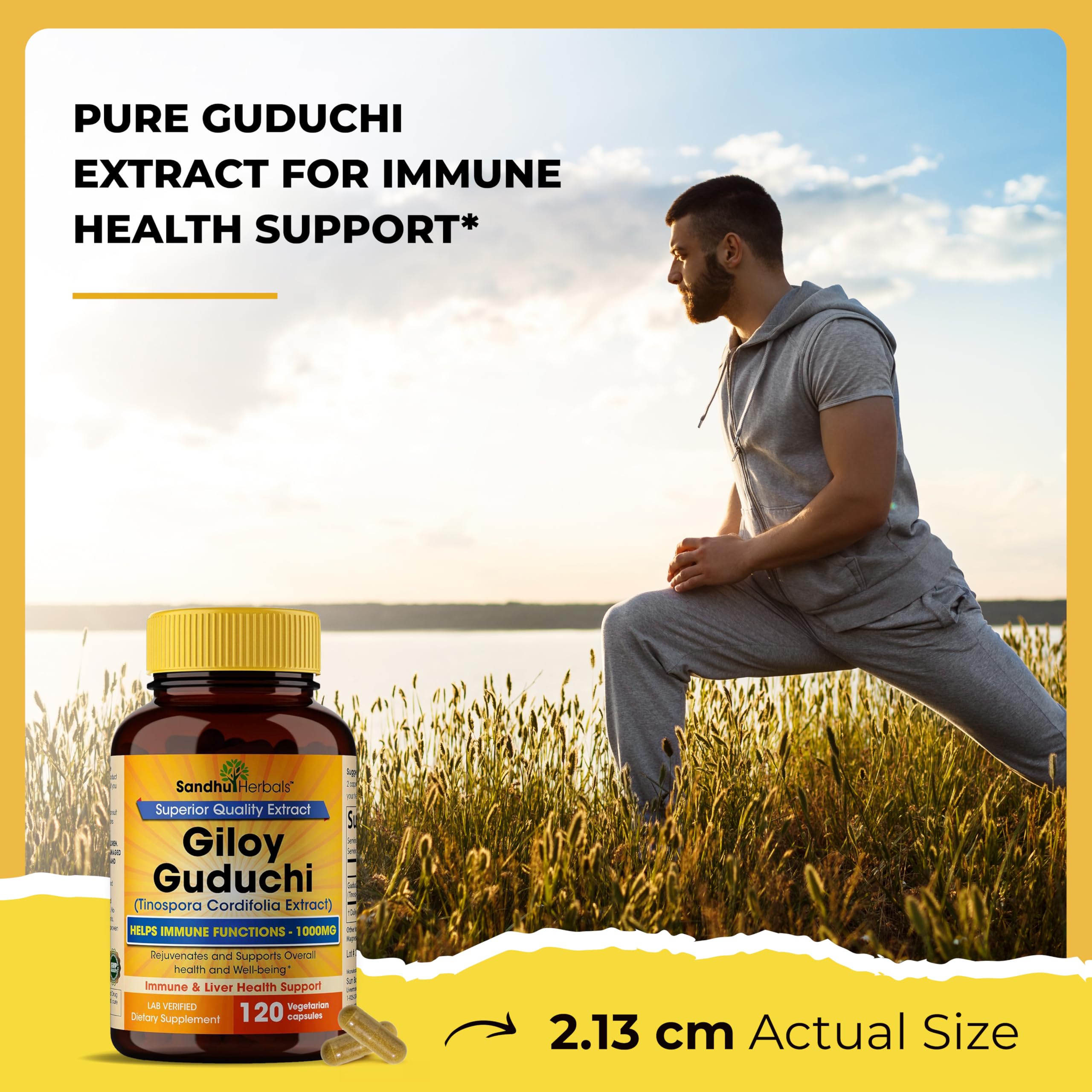 Foto 7 pulgar | Suplemento Sandhu Herbals Giloy Guduchi 120 Cápsulas - Venta Internacional