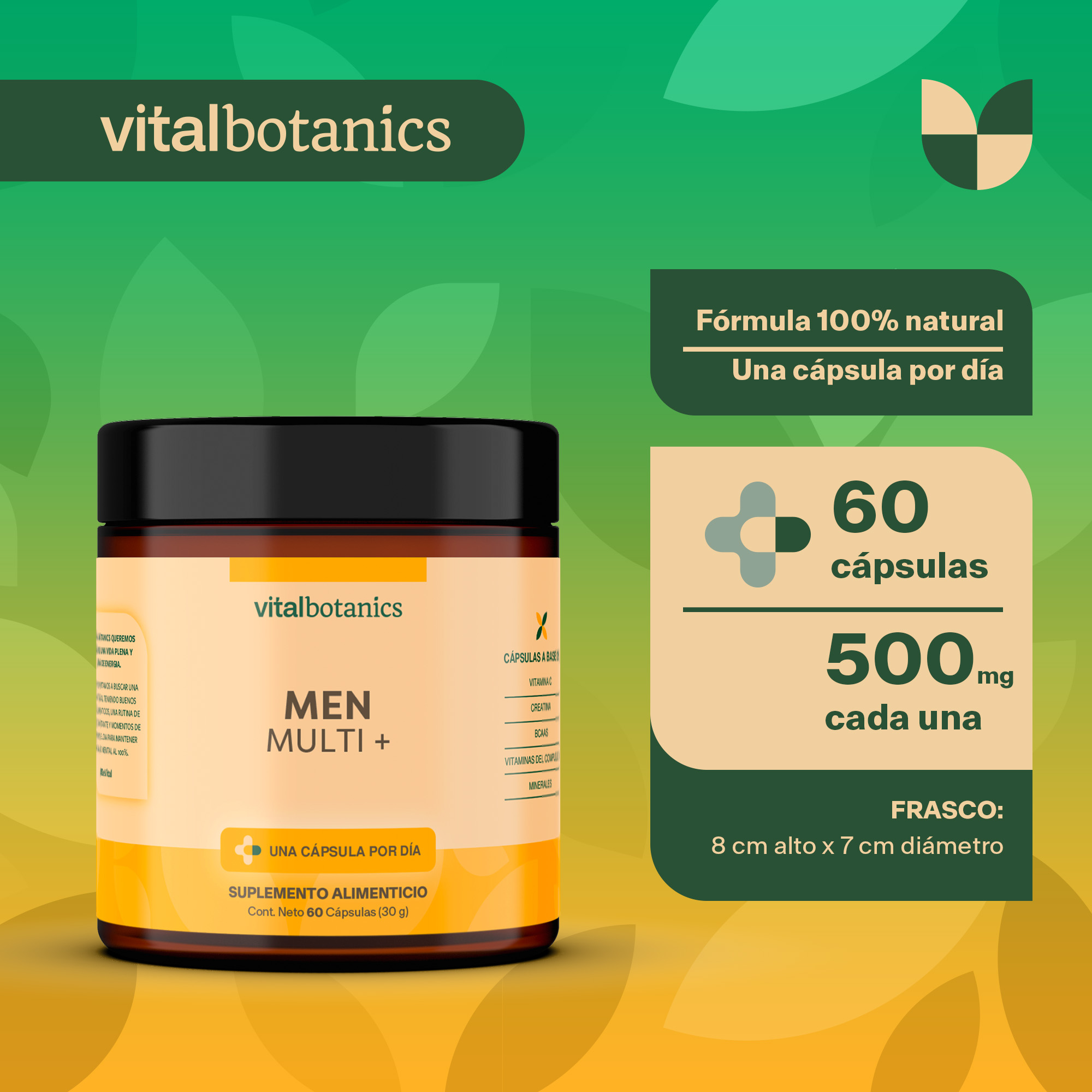 Foto 5 pulgar | Suplemento Alimenticio Vitalbotanics Multivitamínico 60 Cápsulas para Hombre