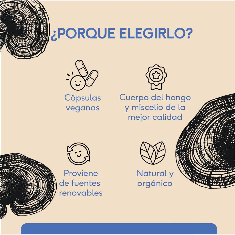 Foto 5 pulgar | Hongo Reishi 60 Cápsulas Veganas Quenut