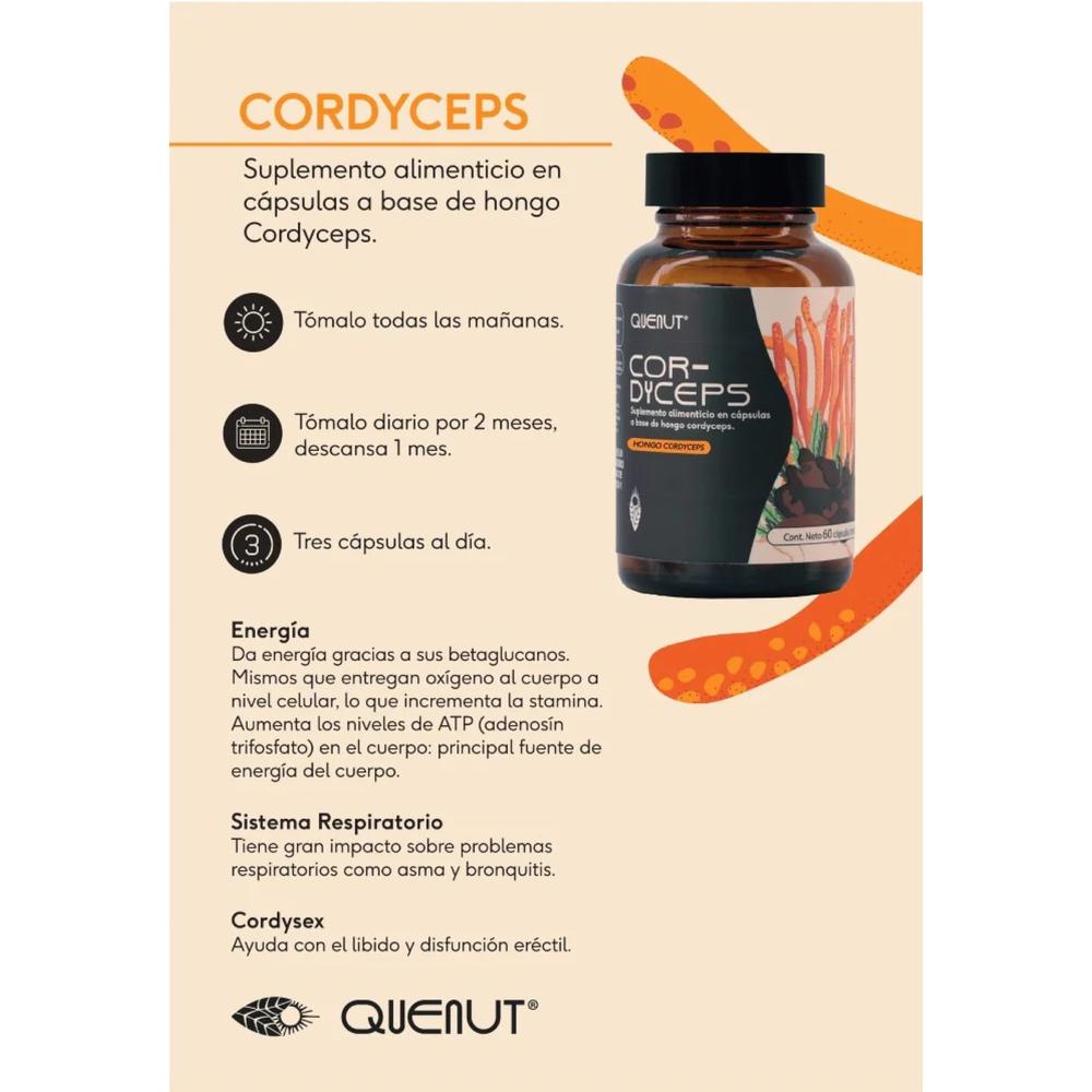 Foto 4 pulgar | Hongo Cordyceps 60 Cápsulas Veganas Quenut Adaptógenos