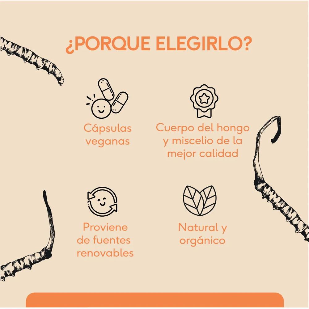 Foto 5 pulgar | Hongo Cordyceps 60 Cápsulas Veganas Quenut Adaptógenos