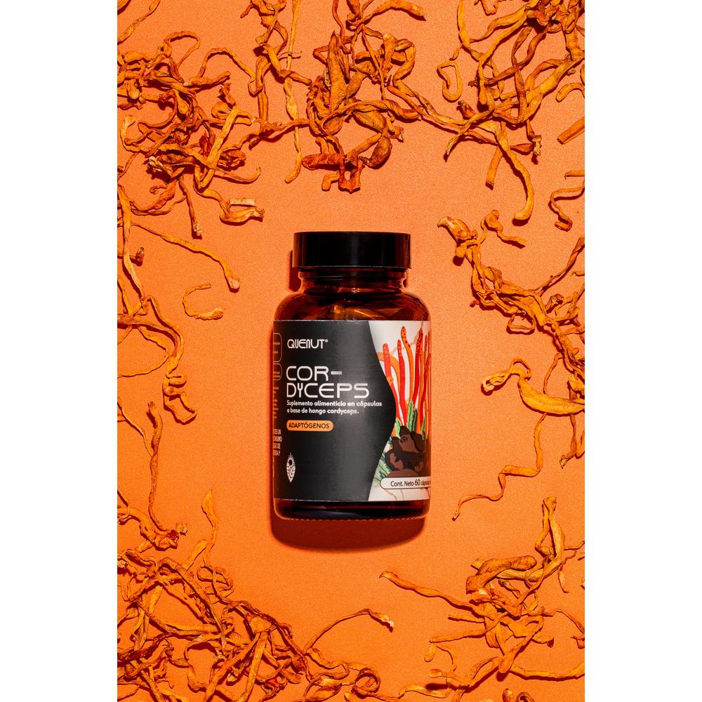 Foto 6 pulgar | Hongo Cordyceps 60 Cápsulas Veganas Quenut Adaptógenos