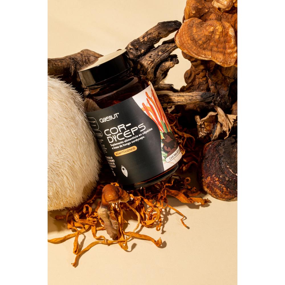 Foto 7 pulgar | Hongo Cordyceps 60 Cápsulas Veganas Quenut Adaptógenos