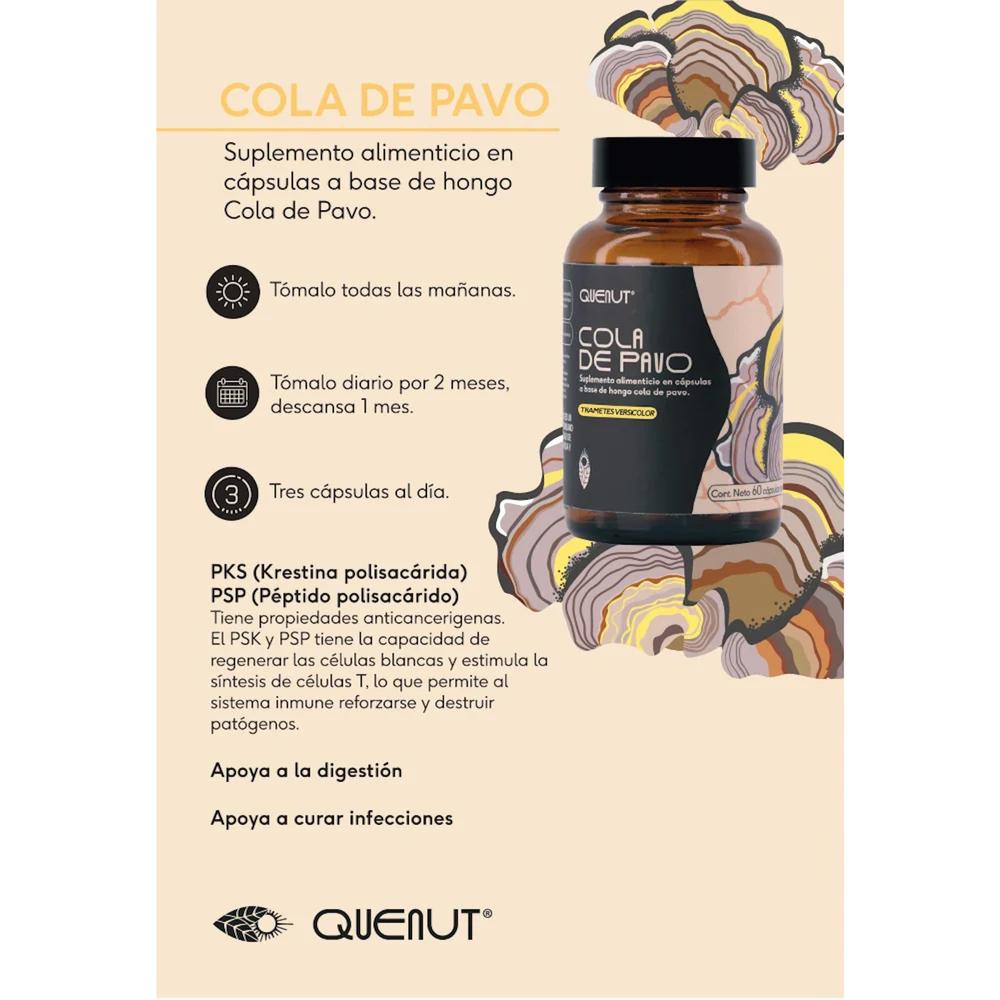 Foto 4 pulgar | Hongo Cola De Pavo 60 Cápsulas Veganas Quenut Turkey Tail