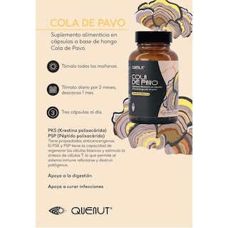 Foto 3 | Hongo Cola De Pavo 60 Cápsulas Veganas Quenut Turkey Tail