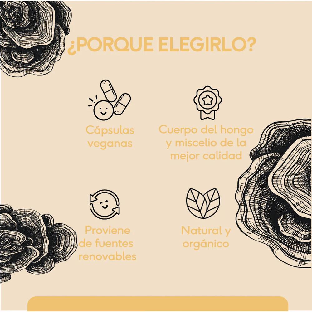 Foto 4 | Hongo Cola De Pavo 60 Cápsulas Veganas Quenut Turkey Tail