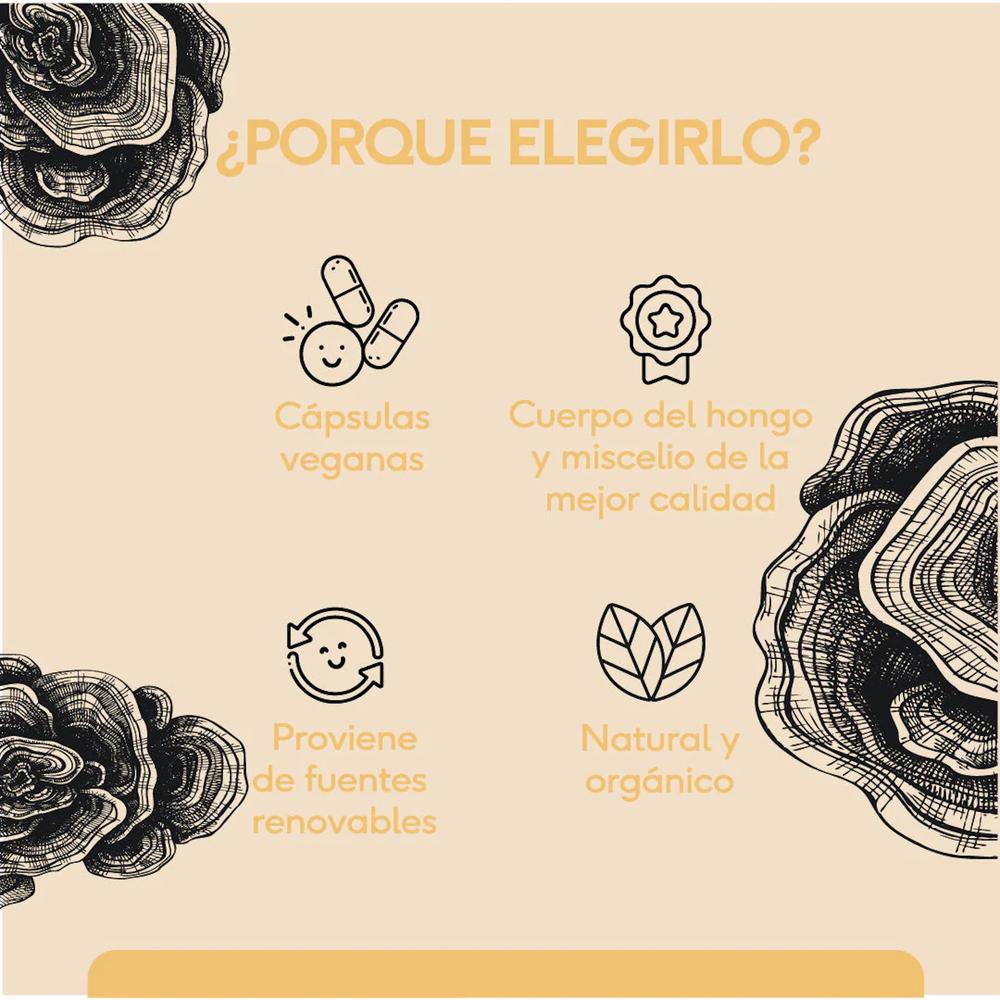 Foto 5 | Hongo Cola De Pavo 60 Cápsulas Veganas Quenut Turkey Tail