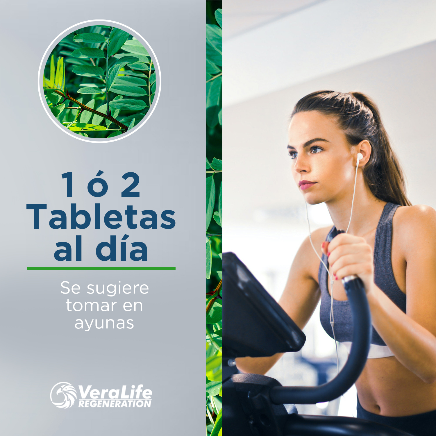 Foto 6 pulgar | Suplemento Alimenticio VeraLife Astrágalo con Ganoderma Vitamina C 60 Tabletas