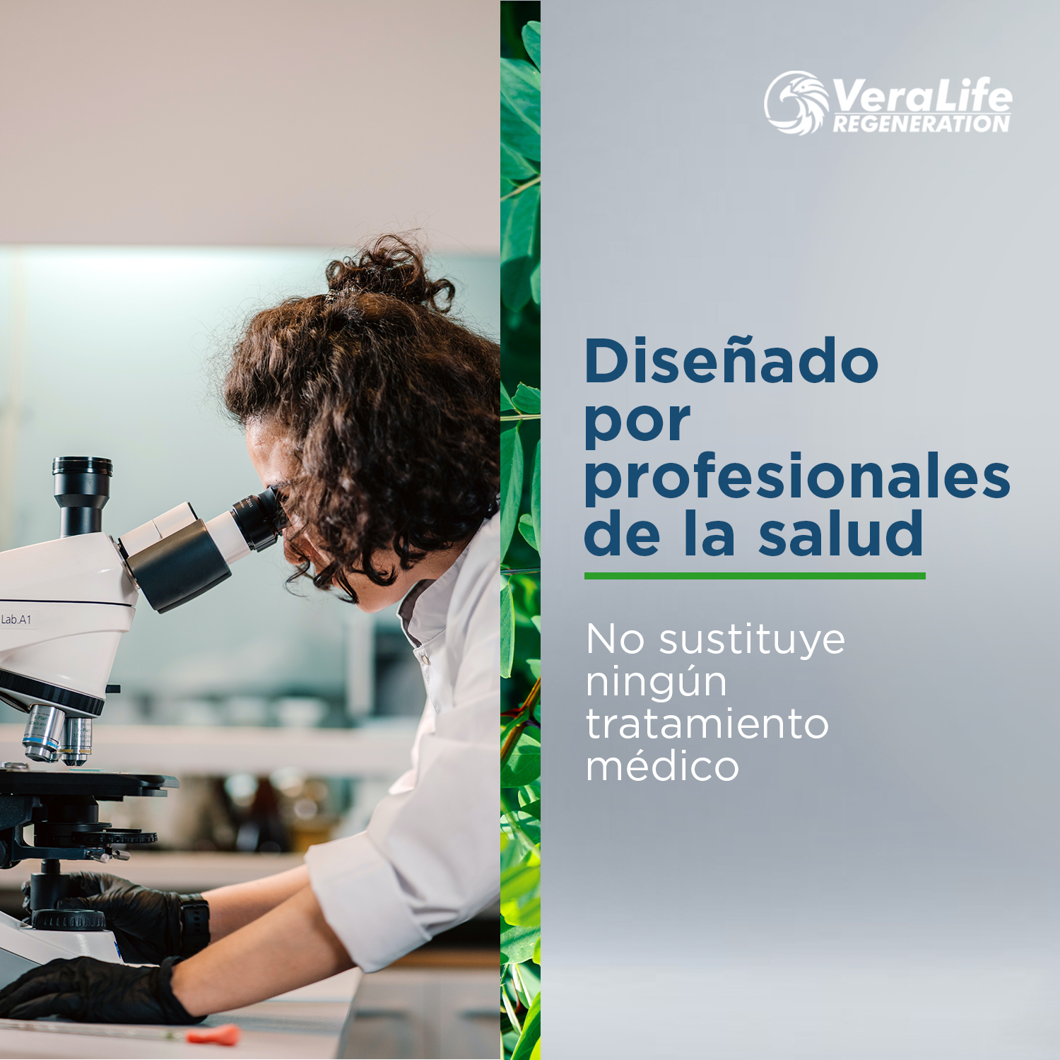 Foto 7 pulgar | Suplemento Alimenticio VeraLife Astrágalo con Ganoderma Vitamina C 60 Tabletas